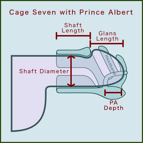 Prince Albert Piercing: 3 Types, Benefits, Risks, and Care